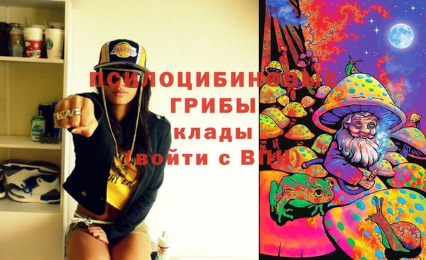 ешки Алексеевка