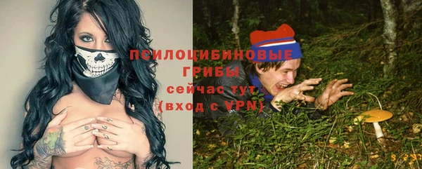 ешки Алексеевка