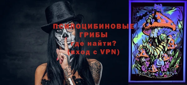 ешки Алексеевка