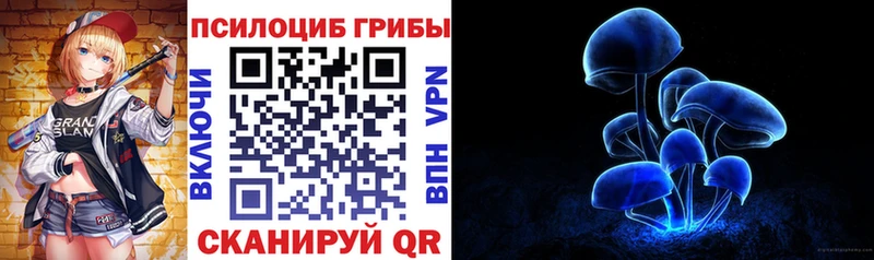 Псилоцибиновые грибы Cubensis  Дедовск 